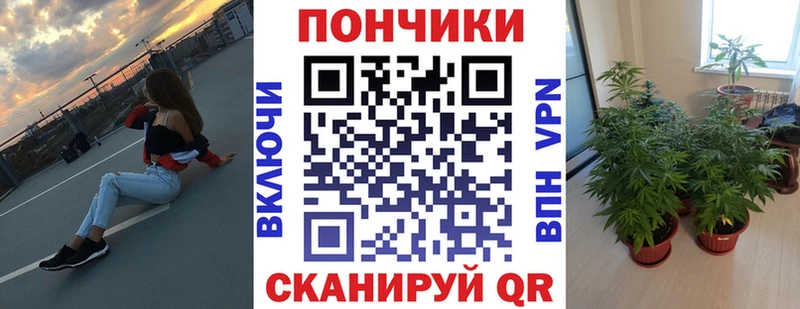 Наркотические вещества Сибай МАРИХУАНА  АМФ  Гашиш  Меф мяу мяу  Alpha-PVP 